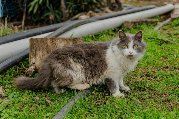 Guide Ultime des Lunettes Parfaites pour les Seniors : Conseils Pratiques et Sélections Essentielles